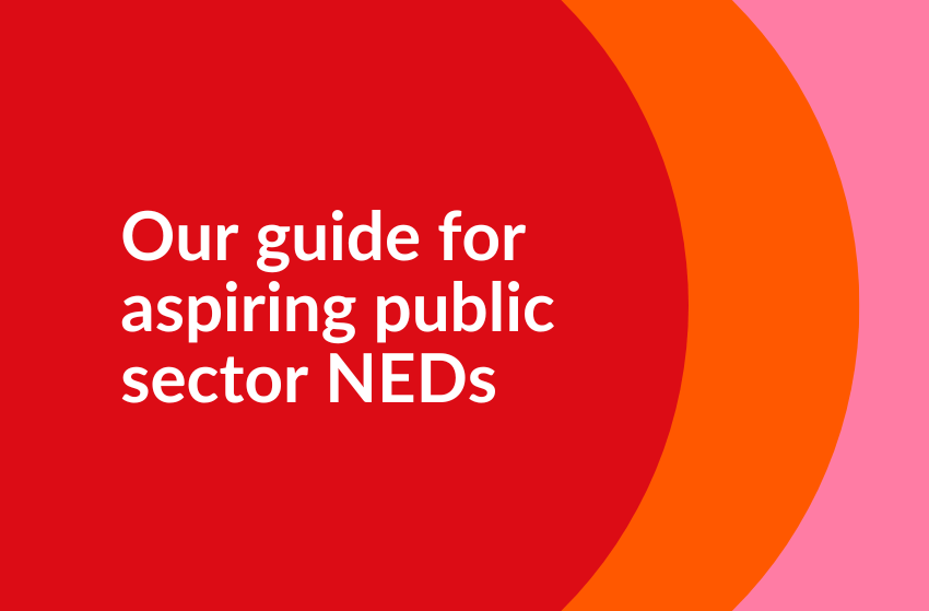 Red background with text that says Our guide for aspiring public sector NEDs